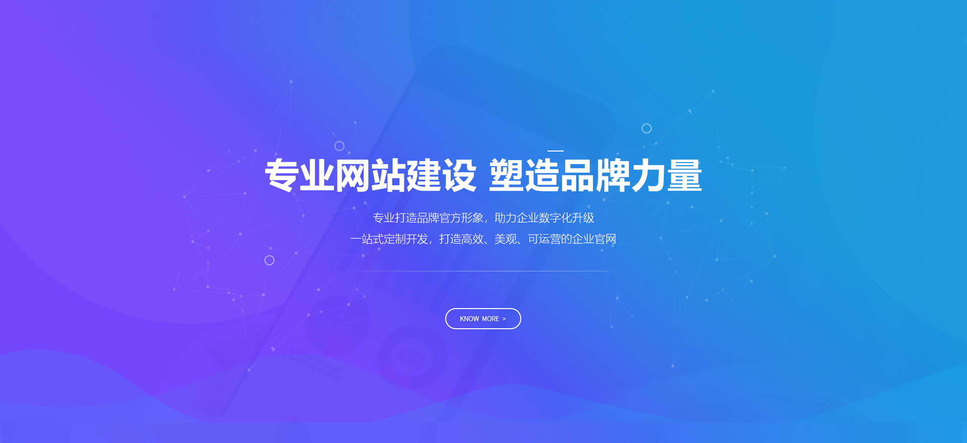 湘潭建站-专业网站建设 塑造品牌力量