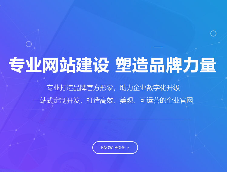 湘潭建站-专业网站建设 塑造品牌力量